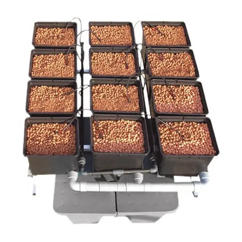 Dutch Pots 1m2 Hidropónico General Hydroponics 48/72 h