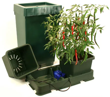 Easy Grow Xl Deposito Green Autopot H