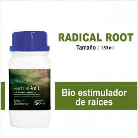 Radical Root Trabe