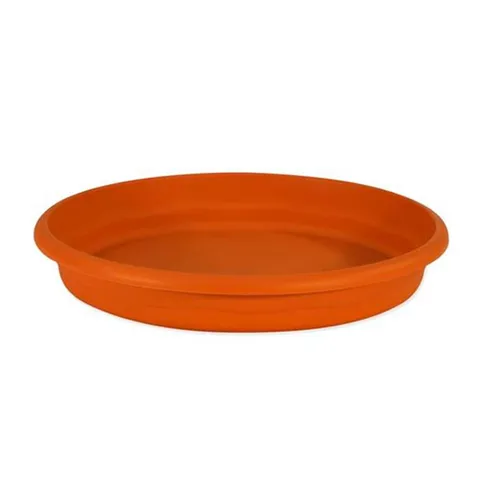 Plato Redondo 25 cm. Economic