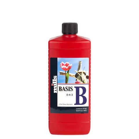 Mills Basis B