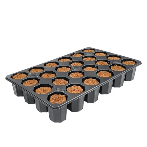 Bandeja Plugin Rootit 19x29 cm 24 Alveolos