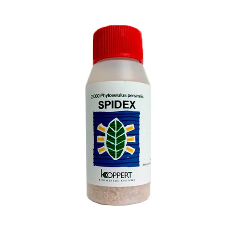 Spidex Phytoseiulus Araña Roja