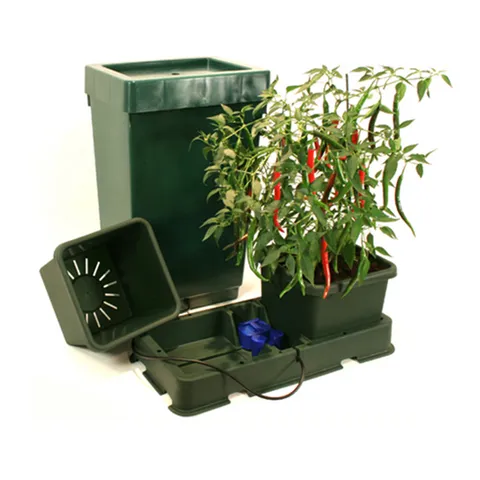 Easy Grow Deposito Green Autopot H