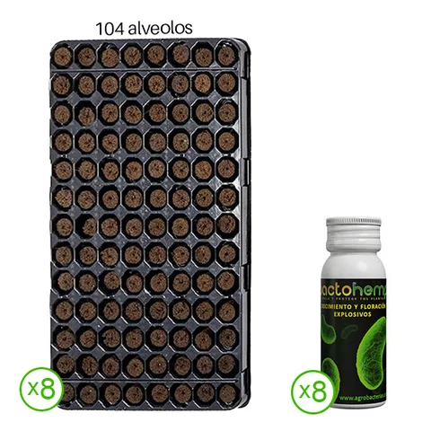 Pack Plugin Pro + Bactohemp